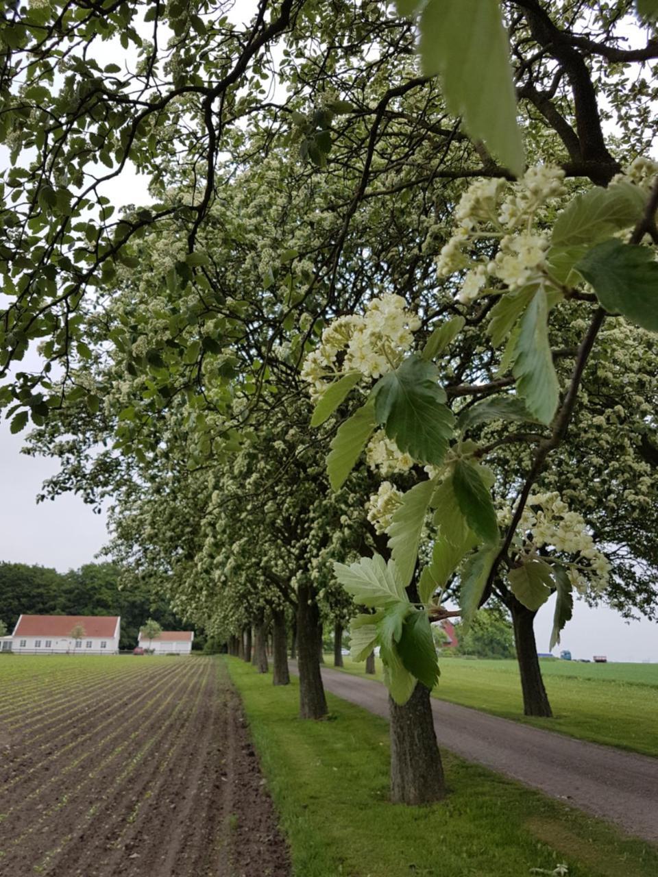 Wirketorp Countryside Hotel Kävlinge Exteriér fotografie